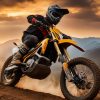 Experience Speed with a 72 Volt Electric Dirt Bike Today