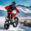 Experience the Thrill of the Arctic Leopard Electric Dirt Bike