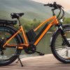 Shop Top-Quality Ecotric Electric Bike Accessories Now