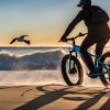 Experience the Ecotric Fat Tire Beach Snow Electric Bike Today!