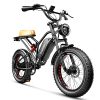 EUY 1000W Electric Bike for Adults with 48V 25Ah Removable Battery: A Dual-Suspension, 20” Fat Tire Ebike for Snow, Beach and Mountain Riding, Upgraded with Hydraulic Brakes, Capable of 30MPH Speed