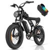 Ridstar Q20 MINI: Adult Electric Bike with 20” 1000W Fat Tire, 25MPH Speed, Shimano 7, and Removable 48V15Ah Battery, Black