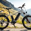 Experience the Premium Flyer Upstreet5 E-Bike Review