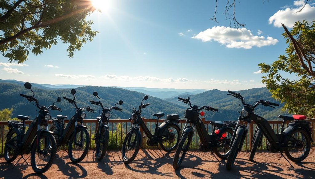 affordable electric bikes